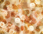 Christmas Wallpapers 228